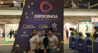 Imagen7
